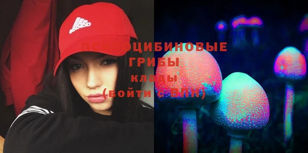 гидра Беломорск