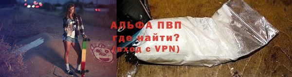 дживик Белокуриха