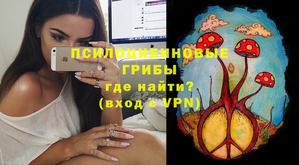 дживик Белокуриха
