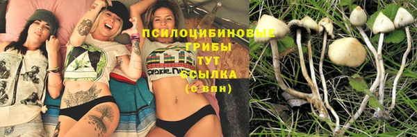 дживик Белокуриха