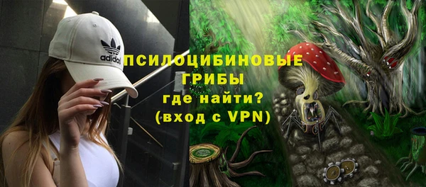 дживик Белокуриха