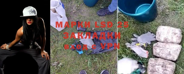дживик Белокуриха