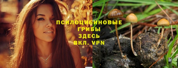 гидра Беломорск