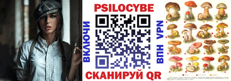 Псилоцибиновые грибы Cubensis где найти Сусуман